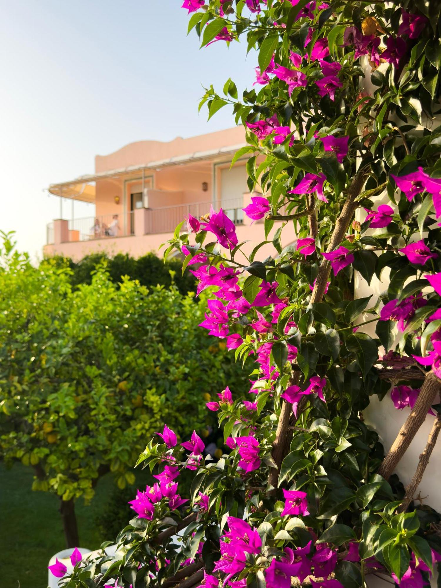 Hotel Boutique Casa Mariantonia 2*