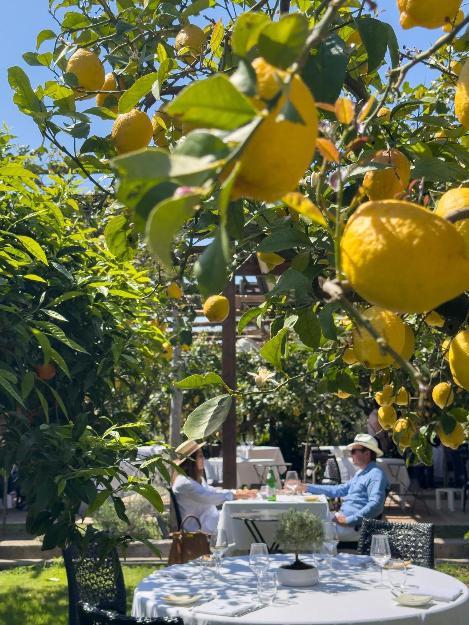 Hotel Boutique Casa Mariantonia Anacapri (Isola di Capri)