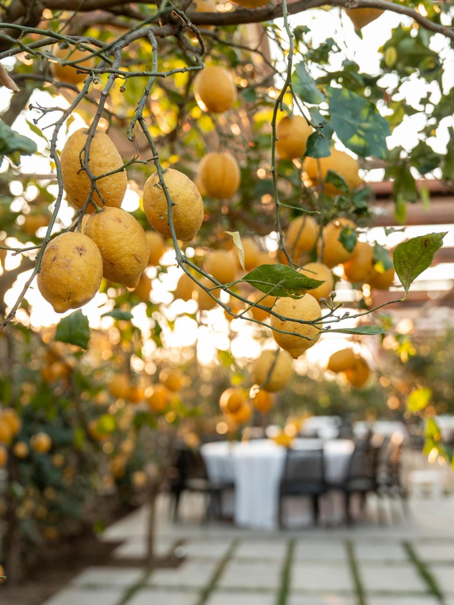Hotel Boutique Casa Mariantonia